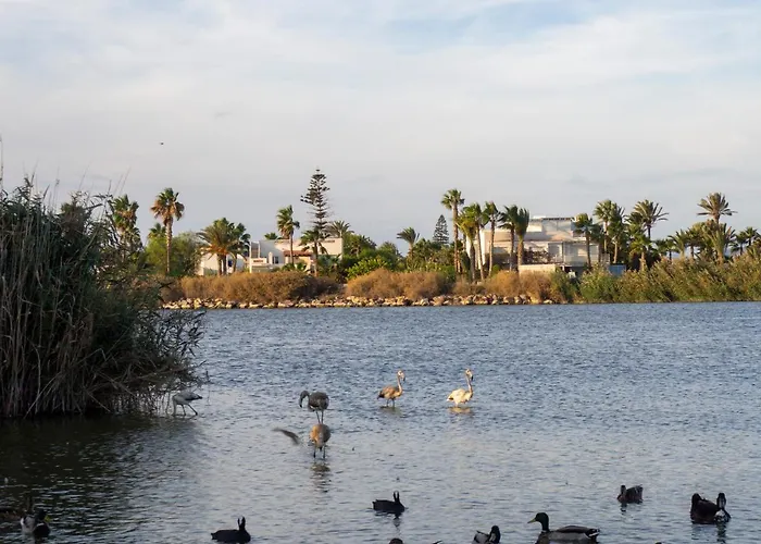 Jardin Privado # Netflix # Playa A 8Min # Wifi # Familia # Apartamento